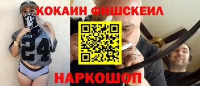 крисы Абакан