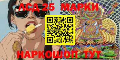 крисы Абакан