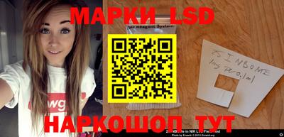 крисы Абакан
