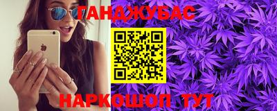 крисы Абакан