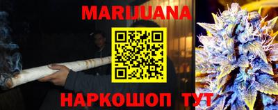 крисы Абакан