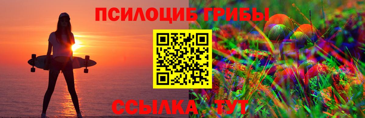 Азнакаево  Псилоцибиновые грибы Cubensis  Галлюциногенные грибы MAGIC MUSHROOMS  Вход с VPN 